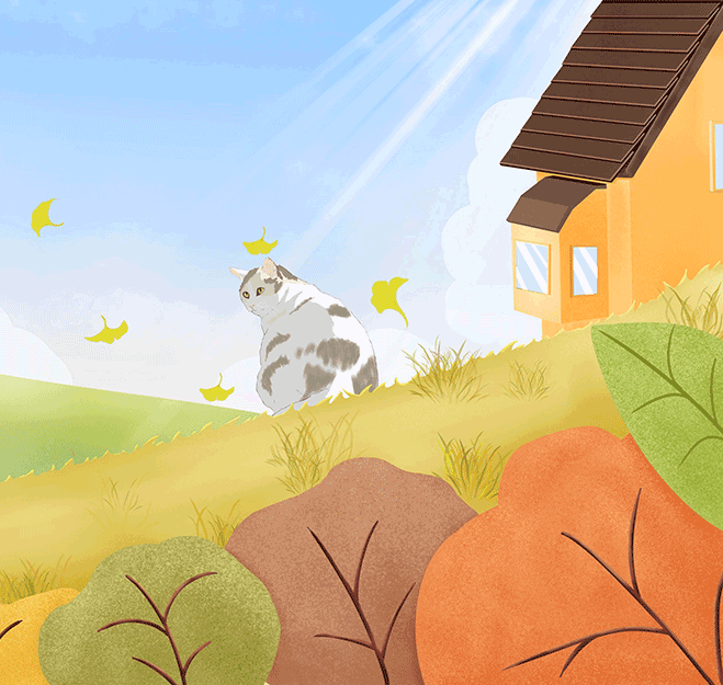 代码猫-优质代码分享学习平台